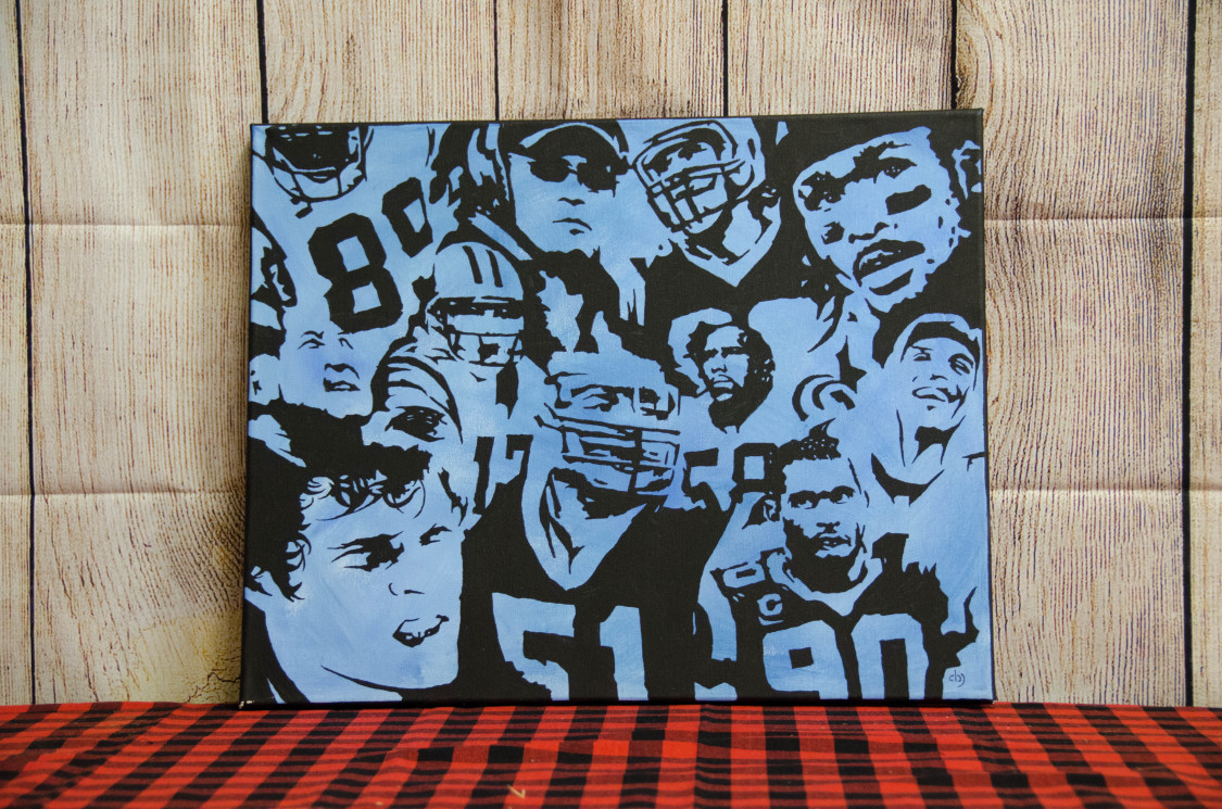 Carolina Panthers Painting, hds